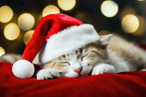 Festive Slumber - Santa Hat-Wearing Kitten Among Christmas Decor - Generative AI photo