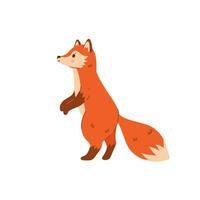 Cute cartoon fox is standing isolate on white background. Vector graphics.