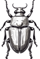 Beetle Discovery Captivating Insect Scenes AI generative png