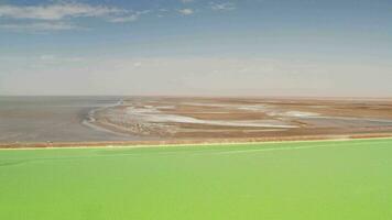 The green saline lake, natural lake background. video