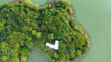 à la recherche vers le bas à le île dans le lac. video