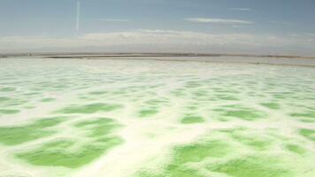 de grön salin sjö, naturlig sjö bakgrund. video