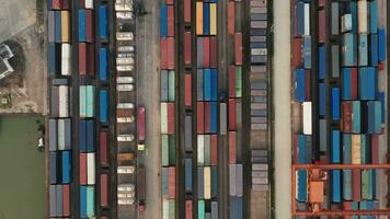 contenedores y puerto marítimo, comercio y logística. video