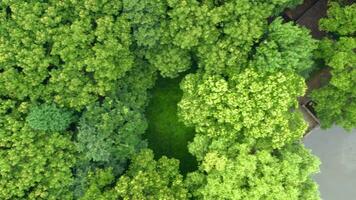 antenne van oude traditioneel tuin, Suzhou tuin, in China. video