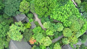 Aerial of Ancient traditional garden, Suzhou garden, in China. video