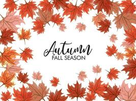 Autumn frame with falling maple leaves vector