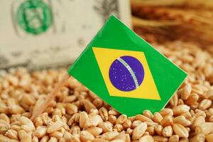 Brazil flag on grain wheat, trade export and economy concept. photo