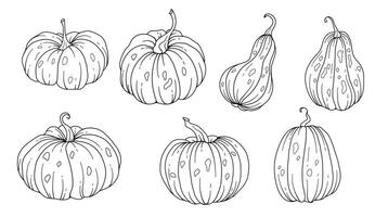 calabazas línea Arte ilustración, contorno calabaza arreglo mano dibujado ilustración. colorante página con calabazas acción de gracias calabazas colocar. acción de gracias calabazas conjunto aislado en blanco vector