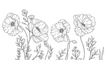 Floral Frames Line Art, Fine Line Poppy Frames Hand Drawn Illustration. Outline Leaves and Flowers. vector