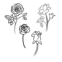 Set Of Roses Vector Image