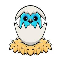 Cute spangled cotinga bird cartoon inside from egg vector