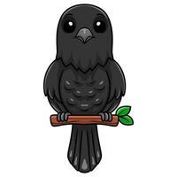 Cute crow bird cartoon on tree branch vector