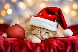 Sleeping Ginger Kitten in Santa Hat Amidst Christmas Decor - Generative AI photo