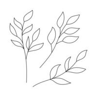 Hand drawn simple outline twigs with leaves. Botanical decorative elements. Black and white doodle vector illustration isolated on a white background.
