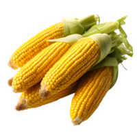 corn isolated on transparent background cut out ,corn cobs png ,generative ai