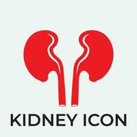 kidney vector illusrtation