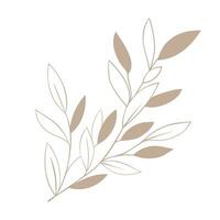 Herb sprig of forest plant line art. simple icon plant blade of grass vector