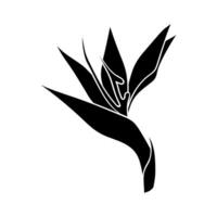 Strelitzia flower or bird of paradise flower silhouette. A simple bud of a tropical flower. botanical pattern vector