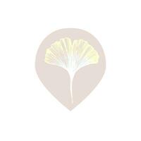 Ginkgo biloba 1 leaf icon. Badge or logo for packaging useful plant ginkgo, for pharmaceuticals vector