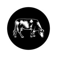 Cow icon on black background. Engraved drawing sketch. For agriculture, milk and beef vector