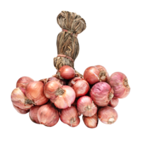 Bunch of shallots png