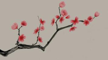 prune fleur avec chinois encre La peinture style, 3d le rendu. video