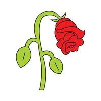 red rose with green leaves vector