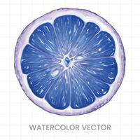 watercolor vector illustration of a slice of lemon