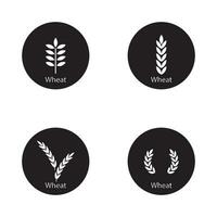 wheat icon vector