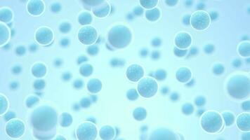 Large groups of streptococcus with blue background, 3d rendering. video