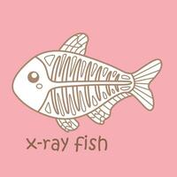 Alphabet X For X-Ray Fish Vocabulary School Lesson Reading Cartoon Digital Stamp Outline vector