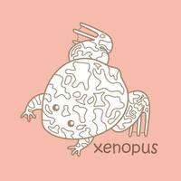 alfabeto X para xenopus vocabulario colegio lección leyendo dibujos animados digital sello contorno vector