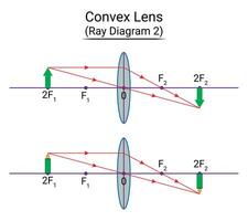 convexo lente rayo diagrama 2 vector