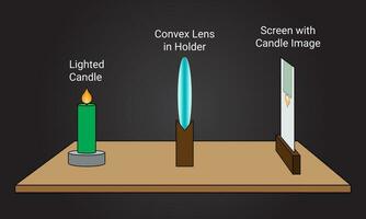 Convex Lens Candle Experiment vector