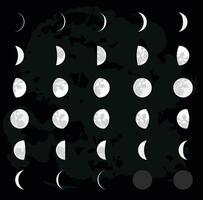 30 day moon phases and moon calendar vector