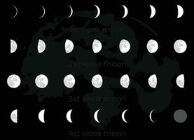 30 day moon phases and moon calendar vector