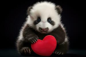Studio portrait of adorable little panda bear with red heart on black background, Adorable newborn panda holding red heart Valentine's day, HDR, AI Generated photo