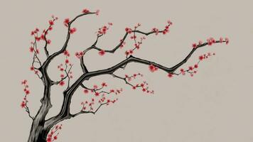 ciruela florecer con chino tinta pintura estilo, 3d representación. video