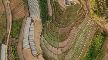 terra e Campos dentro Yunnan, China. video