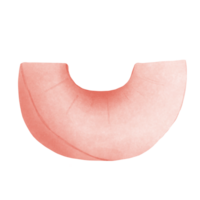 perzik fruit plak illustratie png