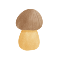 champignon mignonne légume png