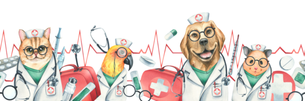 Dog, cat, hamster, parrot doctors in a dressing gown, glasses, with a stethoscope, a suitcase and medical instruments. Watercolor illustration hand drawn. Seamless border png