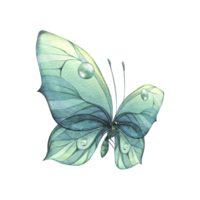 A blue, turquoise butterfly with a beautiful pattern on its wings, flying. Watercolor illustration hand drawn. Isolated object png