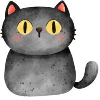 Isolated cute and chubby spooky black cat in transparent background png