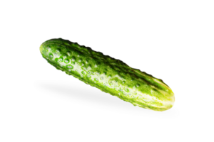 Cucumber isolated on  invisible png background