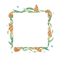 Sea square frame, seaweeds, seashells and water bubbles. Marine design. Watercolor hand drawn illustration. For cards, logos, marine design. png