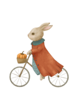 Rabbit in a coat rides a bicycle animal drawing for a children's room png