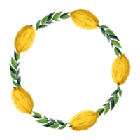 citron des fruits avec vert feuilles rond couronne Cadre aquarelle illustration avec etrog ou citron png