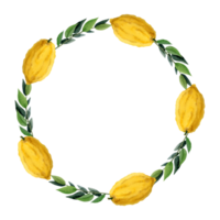Lemon fruits with green leaves round wreath frame watercolor illustration with Etrog or citron png