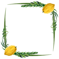 sukkot fyrkant ram vattenfärg illustration med etrog, fyra arter för jewish Semester hälsning kort png